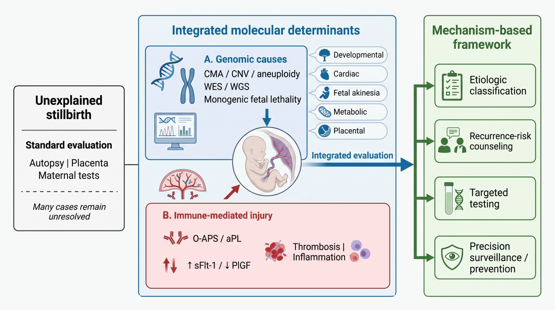 Integrated molecular determinants of unexplained stillbirth and the mechanism-based framework for etiologic classification, recurrence-risk counselling, targeted testing and prevention